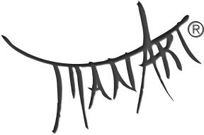 Manus Verlag AG Logo