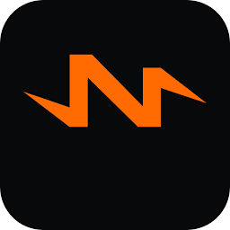 net'audio SA Logo