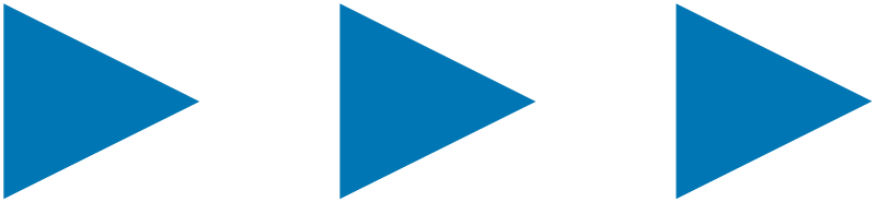 Netchange Cyber Security GmbH Logo