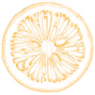 Nutritherapy - Laura Petoud Logo