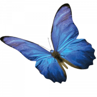 omstructur, Odette Montandon Logo