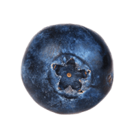 One Earth Club Sàrl Logo