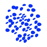 Paladis GmbH Logo