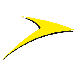 Pauli Elektro AG Burgdorf Logo