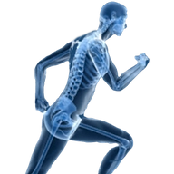 Physiothérapie La Cerisaie Sàrl Logo
