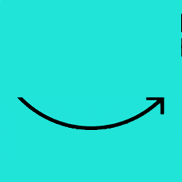PLI Flury Coaching Logo