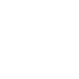 pure solution gmbh Logo