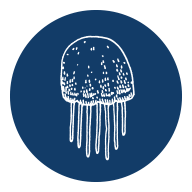 Qturn GmbH Logo