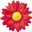 Roth Pflanzen AG Logo