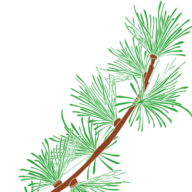 S.B. Mélèze Sàrl Logo