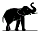 Schmid-Burgos The Black Elephant GmbH Logo