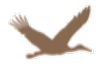 Seaside Lodge Bosshard-Arnemann Logo