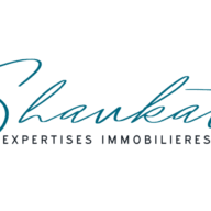 Shaukat expertises immobilières Logo