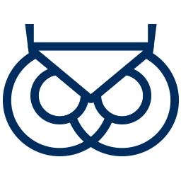 Silbereulen AG Logo