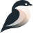 Snowfinch AI GmbH Logo