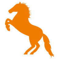 Sonnenpferd - pferdegestütztes und systemisches Coaching Simone Landolt Logo