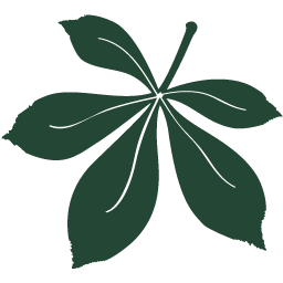 Stiftung Kastanienpark Logo