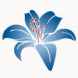 Stiftung zur Beteiligung der Munizipalgemeinde Saas-Fee am Alters- und Pflegeheim St. Antonius, Saas Grund Logo