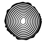 Stucki Holzbau Logo