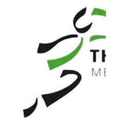 Therapie Ost Vellini Logo