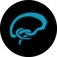 Twisted BrainZ Sàrl Logo