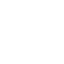 Wawido Sàrl Logo