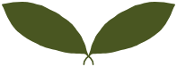 Wohlgensinger Porzellan Logo