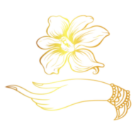 Nana Thai Massage Bucher Logo