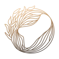 somaspace Jacqueline Leisi Logo