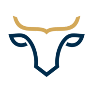 New Ochsen GmbH Logo