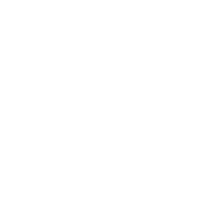 Blickwis GmbH Logo