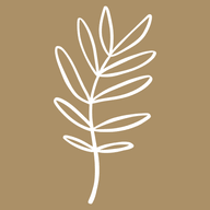 Garcia Signoretti, Massazen Logo