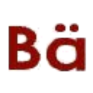 Bären Dienstleistungen GmbH Logo