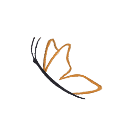 Nathalie Joner kinésiologie Logo