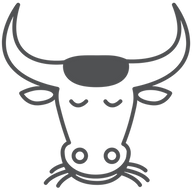 lisi-bisi experience GmbH Logo