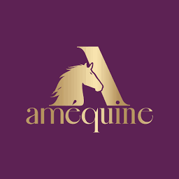 améquine Sàrl Logo