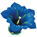 Floralp GmbH Logo