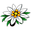 SWISS FOODING SARL Logo