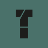 Turin Wirtschaftsprüfung GmbH Logo