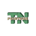 TN Peinture Taicon Logo