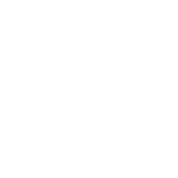 NEXLANE GmbH Logo