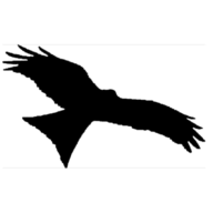 Imago Films Productions Sàrl Logo