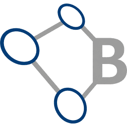 Berger Consult Logo