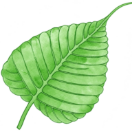 D&C TCM GmbH Logo